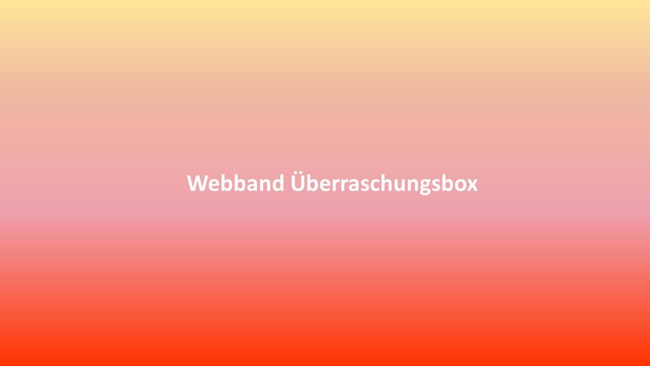 Bild von Webband Überraschungsbox 7 - 20mm breit breit - 14 verschiedene Muster - Gesamtlänge 4,38m