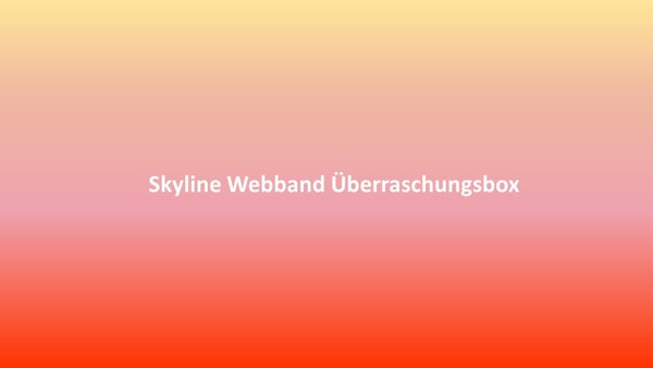 Bild von Skyline Webband Überraschungsbox ca. 16mm breit - 12 verschiedene Muster - Gesamtlänge 3,69m