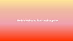 Bild von Skyline Webband Überraschungsbox ca. 16mm breit - 12 verschiedene Muster - Gesamtlänge 4,60m