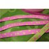 Bild von 1m Webband Design by farbenmix - 10mm breit - Punkteband rosa/lime