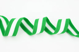 Bild von Elastisches Streifenband - 25mm breit - Grün - 3m Länge