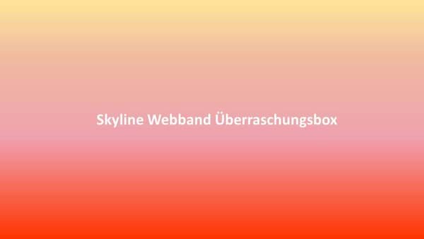Bild von Skyline Webband Überraschungsbox ca. 16mm breit - 12 verschiedene Muster -  Gesamtlänge 7,06m