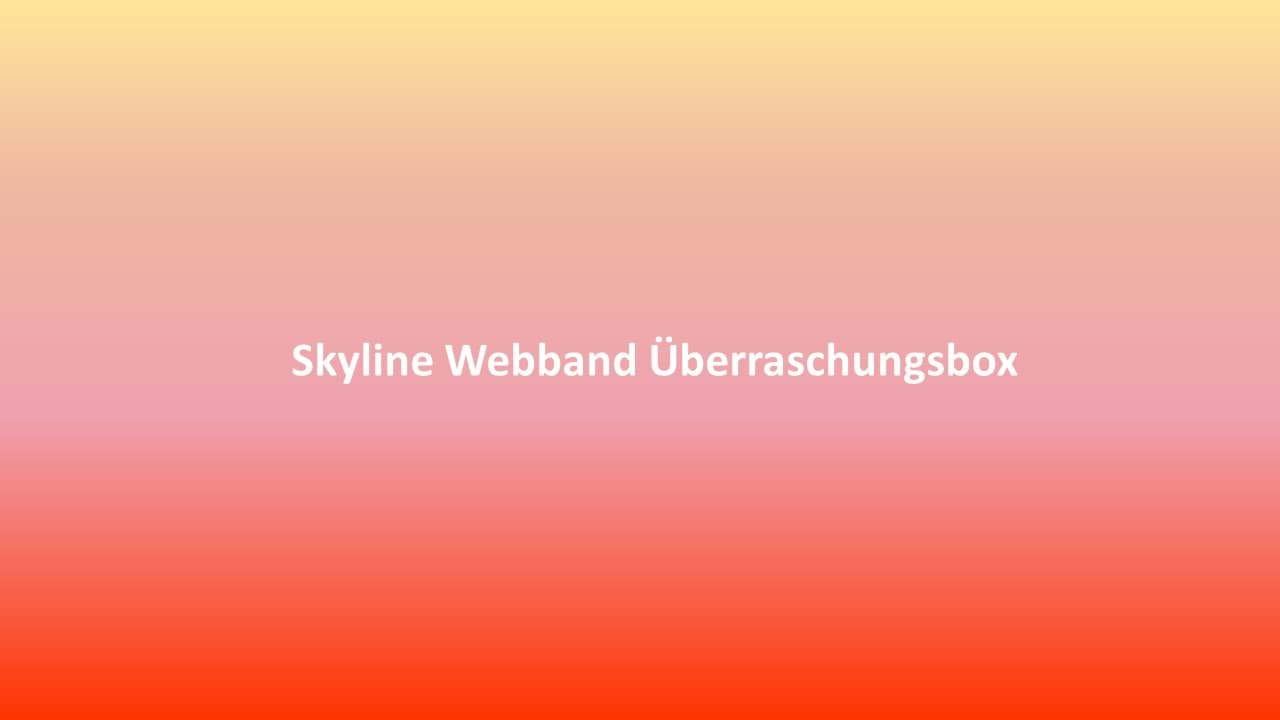 Bild von Skyline Webband Überraschungsbox ca. 16mm breit - 13 verschiedene Muster -  Gesamtlänge 7,06m